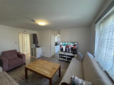Picture 5